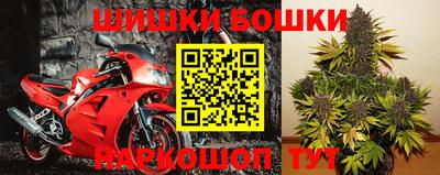 хмурый Тула