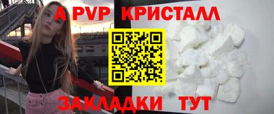 хмурый Тула