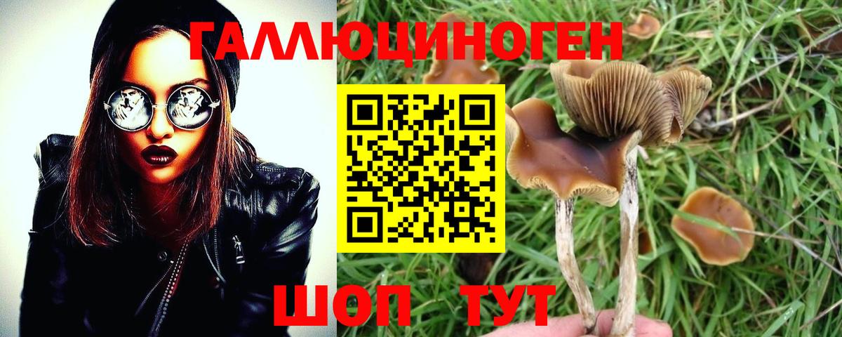 Псилоцибиновые грибы мухоморы Темрюк