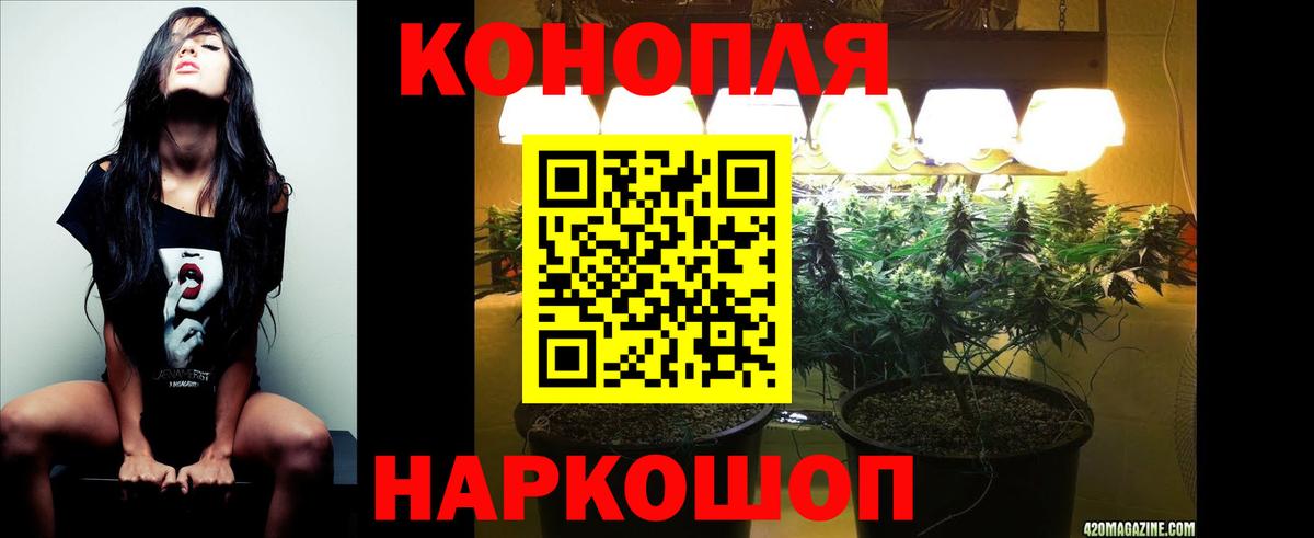 Бошки Шишки SATIVA & INDICA  Вход с VPN  Темрюк  Марихуана ГИДРОПОН  Бошки марихуана THC 21% 